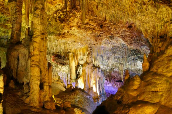 Excursion aux grottes de Hams et à Dinosaurland