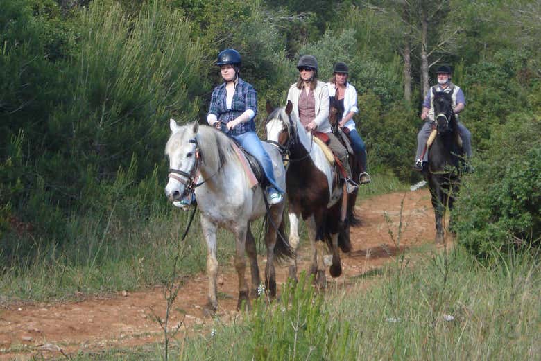 Profiter de la balade à cheval