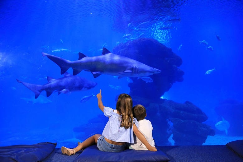 Enfants profitant du Palma Aquarium