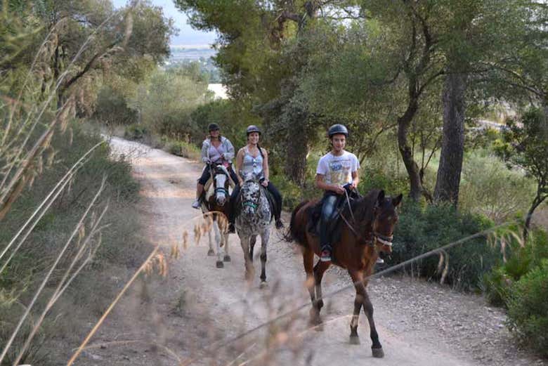 Balade à cheval à Alcúdia 