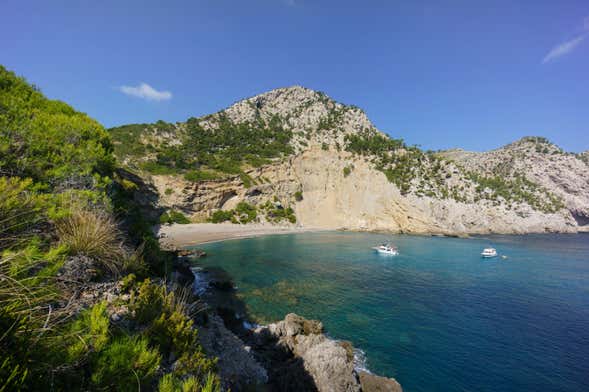 Kayak, snorkeling et coastering dans la baie d'Alcudia