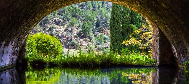 Billet pour les jardins d'Alfabia