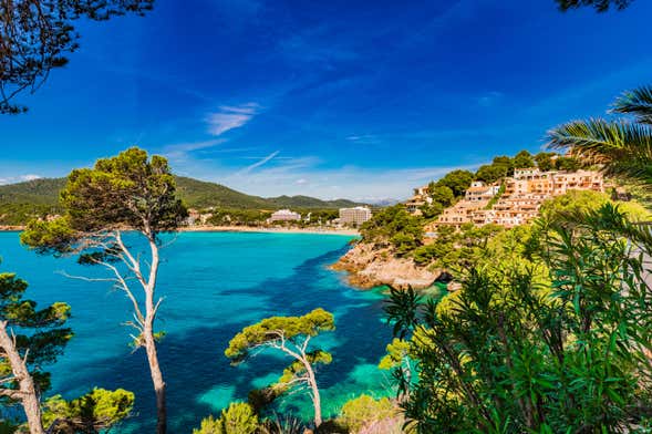 Balade en catamaran sur la côte Est de Majorque depuis Cala Bona