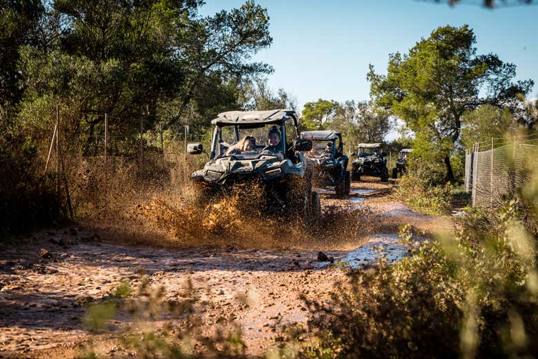 Profitez de la balade en buggy sur l'île de Majorque