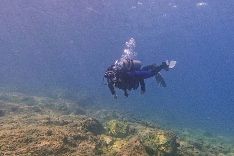 Découvrez la biodiversité de Cala Portals Nous