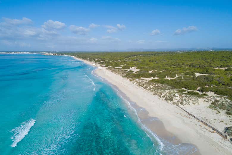 Es Trenc, l'une des plus belles plages du sud de Majorque