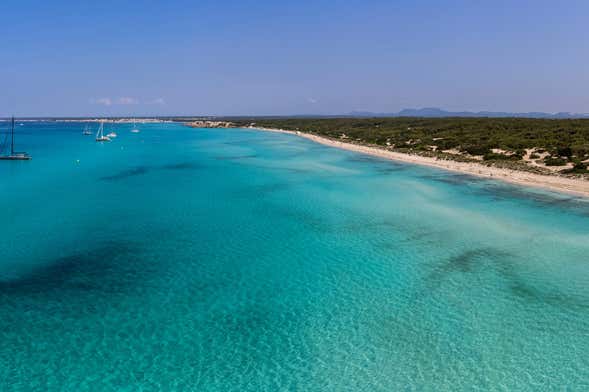 Croisière en catamaran à Es Trenc et Es Caragol
