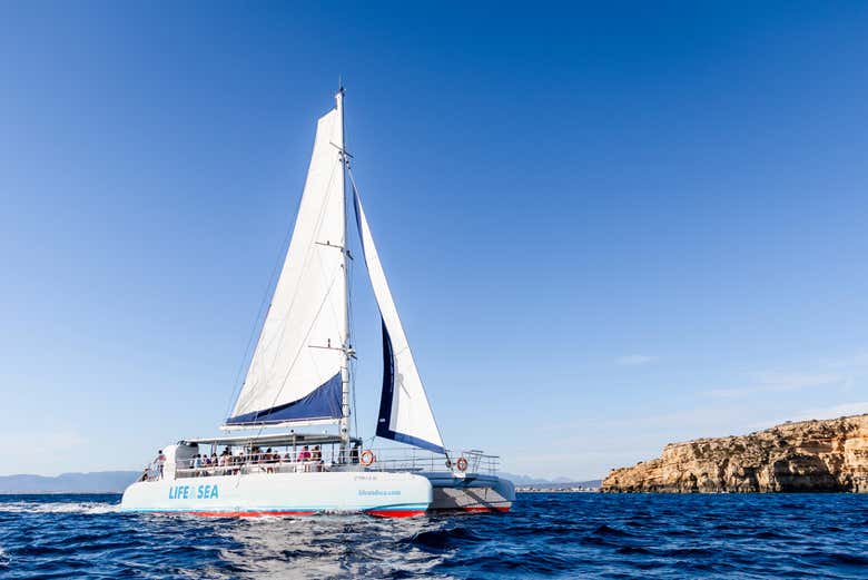 Profitez de la balade en Mediterranée