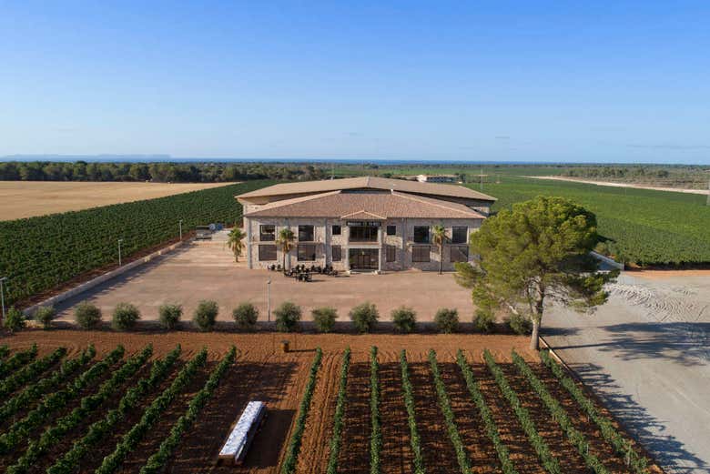 Domaine Vi rei