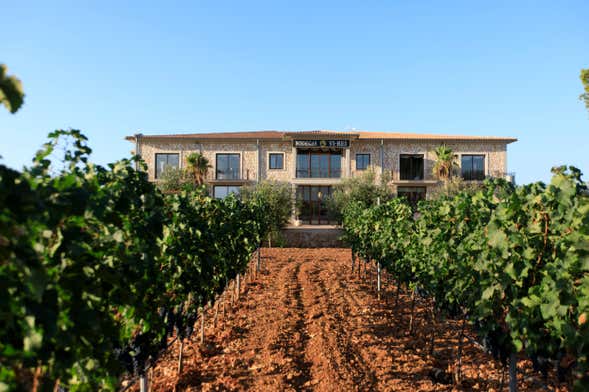 Visite du domaine Vi Rei