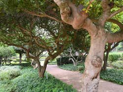 Balade dans les Jardins de Marivent