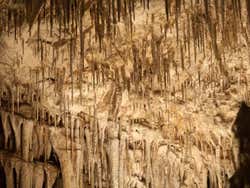 Stalactites aux Grottes du Drach