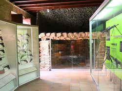 Exposition du Musée San Carlos