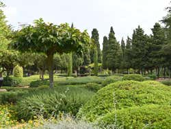 Végétation des Jardins de Marivent