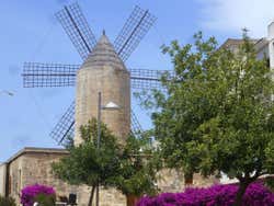 Ancien moulin de Manacor