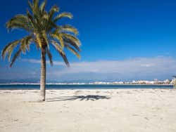 Plage d'El Arenal