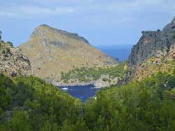 Végétation avec la mer