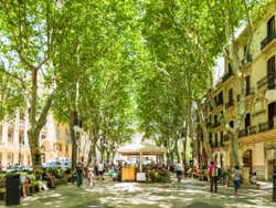 Palma en été