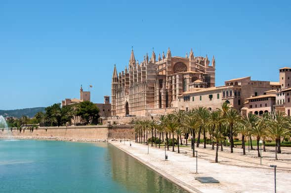 Bus touristique de Palma de Majorque