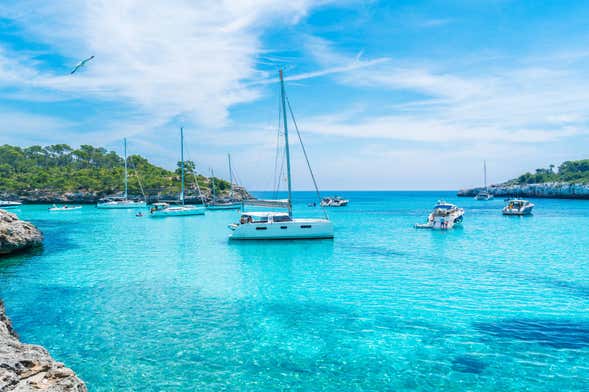 Catamaran dans la baie de Palma avec barbecue