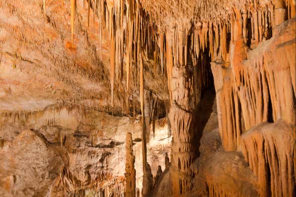 Plongée souterraine dans la Cova des Coloms
