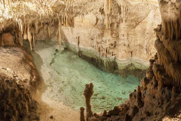 Excursion d'une journée aux Grottes du Drach depuis le sud de Majorque