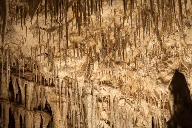 Grottes du Drach