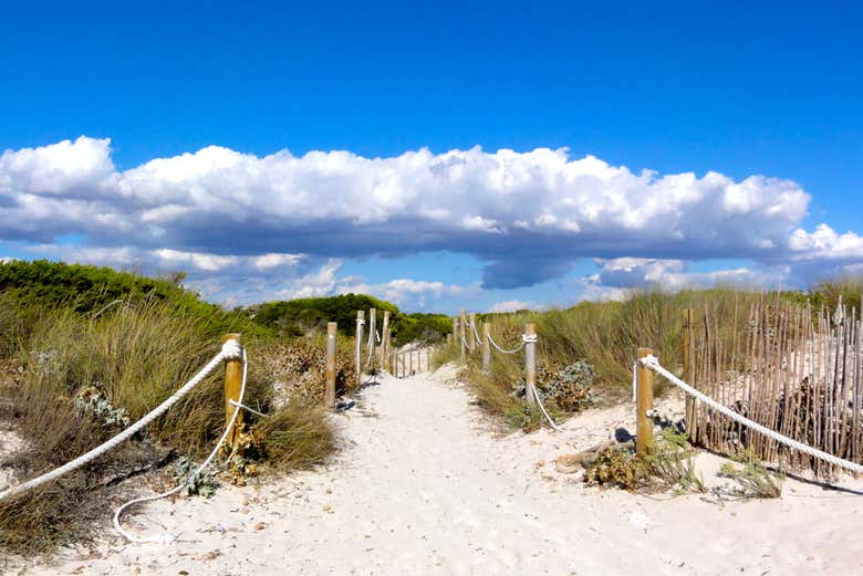 Entrée de la Plage d'Es Trenc