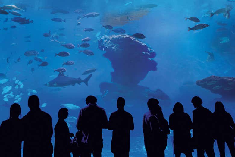 Groupe à l'aquarium de Palma