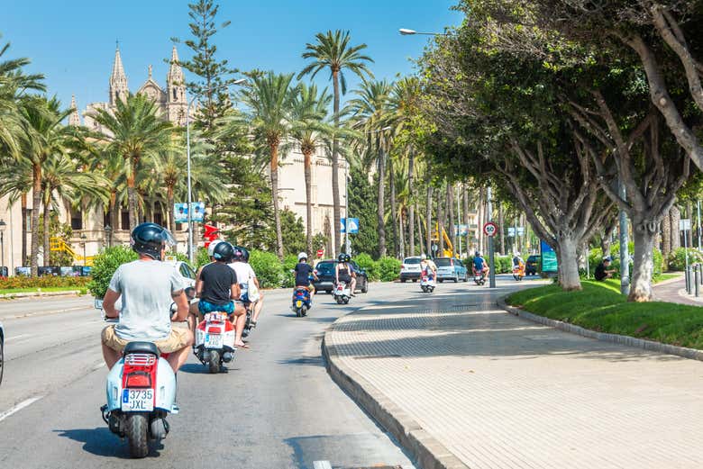 Location de scooter à Palma de Majorque Turismo Mallorca