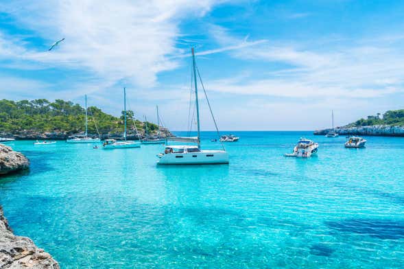 Balade en catamaran dans la baie de Palma