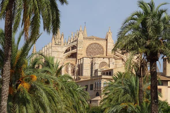 Visite de Palma pour les croisiéristes
