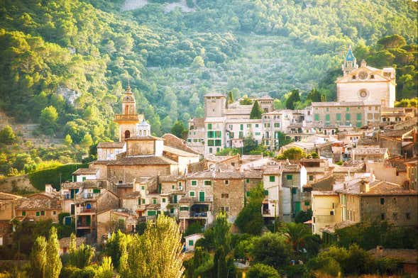 Visite dans Palma de Majorque et Valldemosa