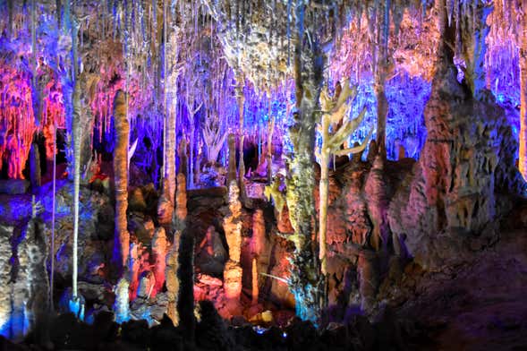 Visite guidée des Grottes dels Hams