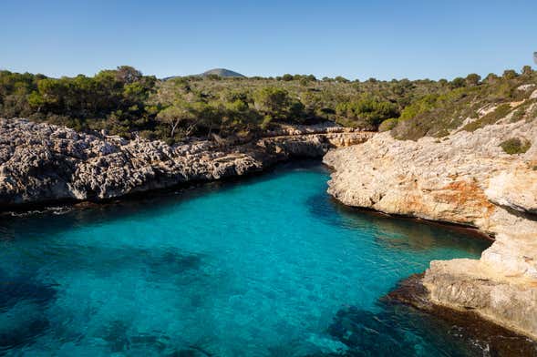 Balade en catamaran sur la côte est de Majorque